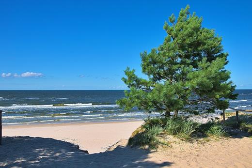 Wejście na plażę. Piękne polskie morze z falami.